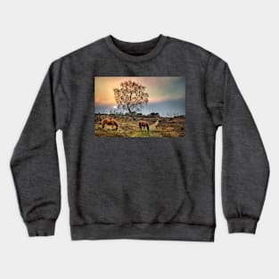 New Forest Ponies Crewneck Sweatshirt